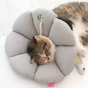 친절한탄씨 쿠션 넥카라 그레이 1P 강아지 고양이 깔대기 면카라 강아지넥카라 강아지목보호대