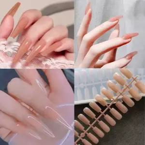네일아트 말랑말캉 투명 Nude팁 240p포장 4종 각8칼라 말캉팁 (W98340F)