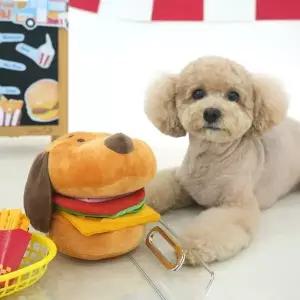 [본사직배송] 패리스독 피너츠 햄버거 스낵 플레잉 토이