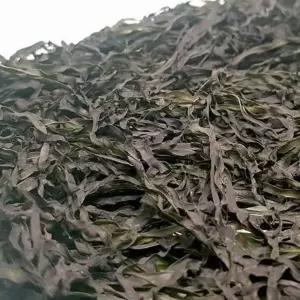 VGC 건 다시마채 50g 건조 자른 채 해조류