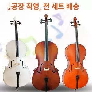 전자 비올라 1개 입문용
