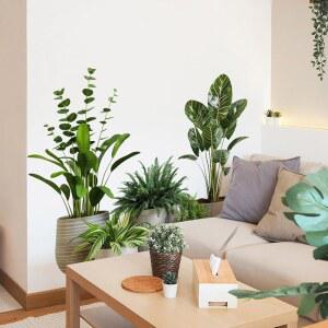 2장 그린 화분 식물 벽 장식 분재 비닐 3D DIY 아트 스티커 및 벽화 탈착식 플로럴 거실 침실 욕실 주방 사무실 열대 벽지용