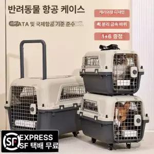 중형견 플라스틱 애견 켄넬 통풍구 이동식 반려견 집