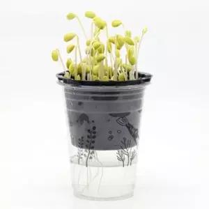 식물재배기 홈가든 콩나물기르기 콩나물키우기 키트