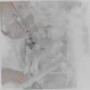 커스텀 고무줄 운동화 신발끈 화이트 100cm