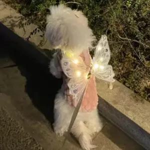 [반려] 날개옷 천사 리본띠 강아지 야간산책 코스튬 LED 엔젤