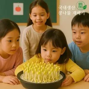 고품질 국내생산 콩나물 재배기 집에서 새싹 키우기 유치원 키우기 학습 (WAF6986)