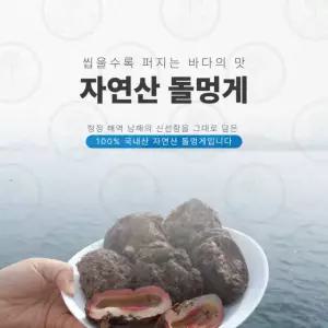 [제니네 제철과일] [SG] 산지발송 멍게 쫄깃 감칠맛