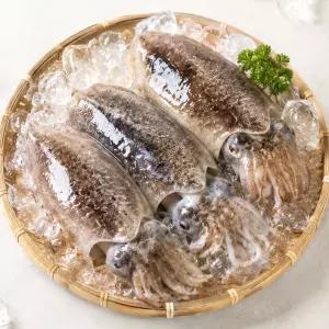당일조업 국내산 생물 활 갑오징어 제철 1kg