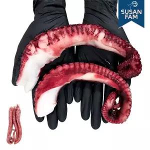[NS홈쇼핑]자숙 문어다리 300g 냉동문어 필리핀 문어숙회[35653957]