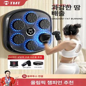 뮤직복싱기 벽부착 권투 격투기 펀치 체육관 표적 놀이