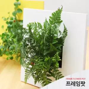 미니액자형 벽걸이화분 프레임팟 스퀘어 사각 하트