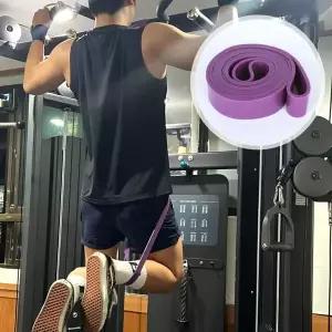 [하프클럽/알티피아]턱걸이밴드 철봉 풀업 4단계 풀업밴드 보라