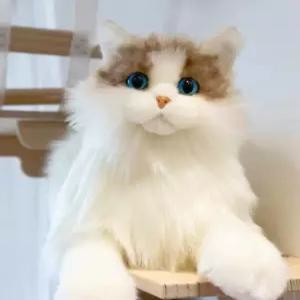 페르시안 실사 귀여운인형 모형 진짜같은 장식인형 봉제인형 선물용 데코 장식품
