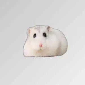 아이스애견쿨매트 애완동물 알루미늄 패드 S
