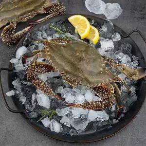 [자연맛남]산지직송 연평도 활 암꽃게 3kg (소/kg당 5-6미/빙장포장)