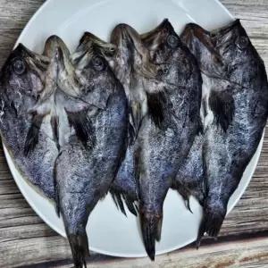 손질 구이용 우럭 찌개 9미 쫀득한 생선 반건조 냉동