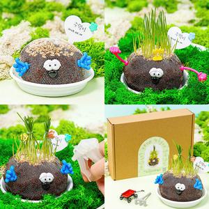 토피어리 만들기 DIY 키트 식물 인형 새싹 밀싹 씨앗 키우기 유아 초등 돌봄 수업 재료