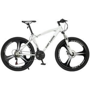 산악 자전거 엠티비 21단 MTB 26인치 화이트 고급