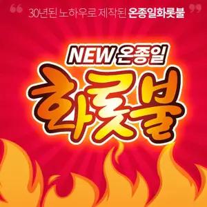 온종일 따뜻한 단열 화롯불 손난로 핫팩(특대형/160gx5입)