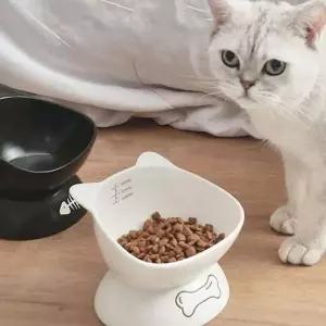 애견용 강아지 밥그릇 애완 고양이 밥그릇 세라믹 식기