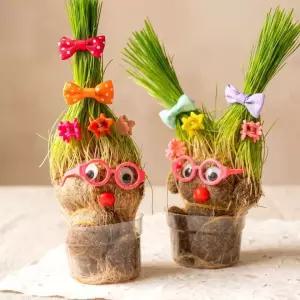 반려식물 잔디 키우기 힐링 취미 식물 기르기 DIY 재배 키트 베란다 화단 감성