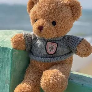 니트 스웨터 입은 곰 봉제인형 30cm 아동 선물용 인형 장난감 테디베어 귀여운
