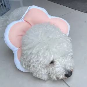 꽃피는 강아지 고양이 쿠션 넥카라 핑크 L애완 동물 반려 펫넥