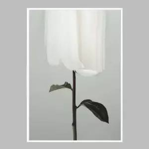 꽃 인테리어액자 flower No3 A2사이즈 그림액자 거실액자