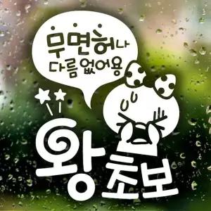 무면허 왕초보 쁘띠 초보운전스티커-반사 차량용스티커 초보운전스티커 (W495BDA)