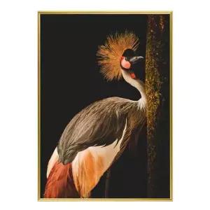 심플 인테리어액자 Grey Crowned Crane A2사이즈 그림액자