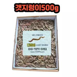 생물 갯지렁이 청개비 500g 낚시 미끼