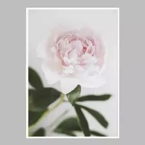 꽃 인테리어액자 flower No2 A2사이즈 그림액자 거실액자