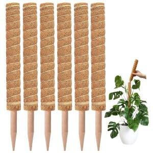국경 간 원예  스틱 녹색 냄비 고정 식물 등반 지팡이 꽃 지원 이끼 막대 1pc