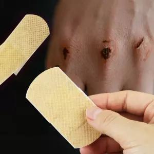 오주상사 뉴바이오 엘라스틱밴드 고탄력 밴드