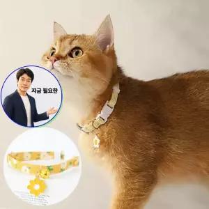 쌍문상회 지금 필요한 고양이 소형견 방울 목걸이 반려동물 꽃목줄 인식표