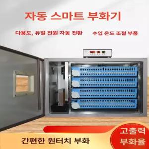 자동 지능형 대형 부화기 undefined 병아리