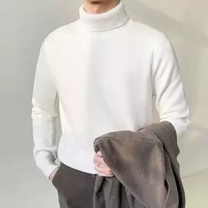 터틀넥 니트 무지 겨울 목폴라 긴팔티 남자 스타일링 sAU61trb