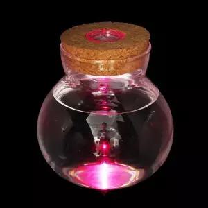 마리모 키우기 LED 유리병 수경 반려식물 유리공병 반려동물용품