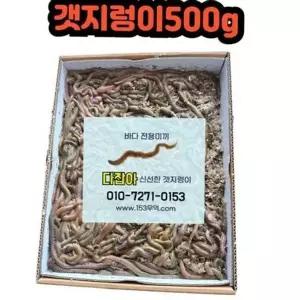 낚시 찌낚시 생물 미끼 청개비 미끼용 원투 갯지렁이-WFN8LD4