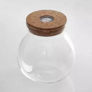 마리모 키우기 LED 유리병 꾸미기 코르크병 반려동물용품 반려용품