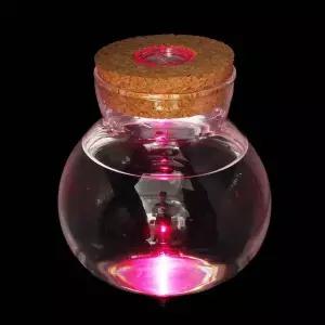마리모 키우기 LED 유리병 수경 반려식물 유리공병 반려동물용품