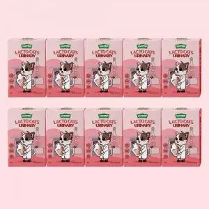 주트립 반려묘 유산균 락토캣츠 U 면역 요로 장 건강 60g X10개