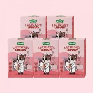 주트립 락토캣츠 U 고양이 유산균 요로 장 위 면역 눈 건강 60g X 5개