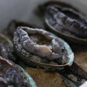 특대 완도활전복 11~12미 1kg 아이스박스(산소포장)