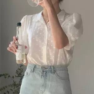 플라워 자수 반팔 퍼프소매 시스루 블라우스 브이넥