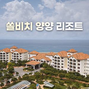 [강원 양양] 쏠비치 양양 리조트 (오션플레이/프라이빗비치/애견동반/가족여행)