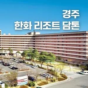 [보문호수 벚꽃명당] 경주 한화리조트 담톤 (뽀로로/보문관광단지/골프/가족여행)