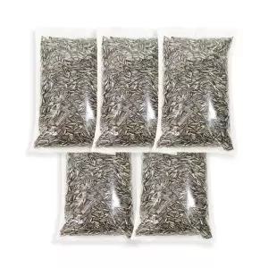 홀릭 앵무새 해바라기씨 500g 5개 왕관 모란 코뉴어 앵무새모이 앵무새먹이 앵무새새사료