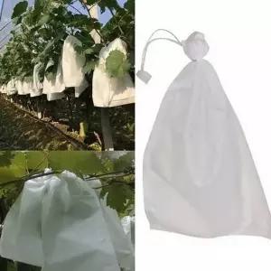 과수봉지35x45cm 포도봉지 과일봉지 과일봉투 과수 원예부자재 거봉봉지 (WB4A947)